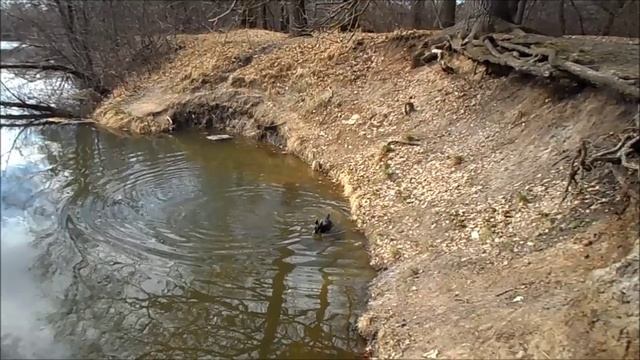 Март на реке. 2026.