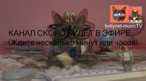 Котинет-музыкаТВ