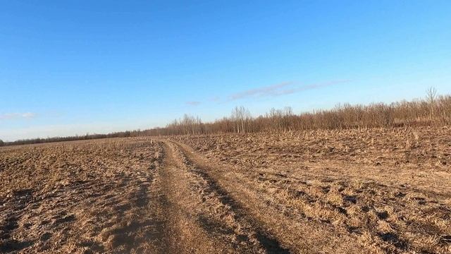 Вести с полей