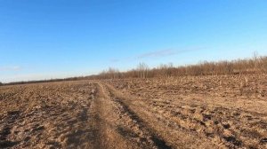 Вести с полей