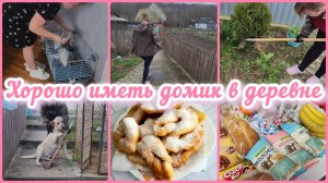 ДОМАШНИЕ ВКУСНЯШКИ🥐ЗАКУПИЛИСЬ НА РЫНКЕ🥓ПОСЛЕ ЗИМЫ БАРДАК🫣