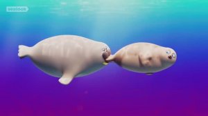 Морские Котики: Время вкусняшек 😋 | Подборка эпизодов