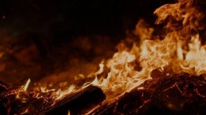 Алко Афробит