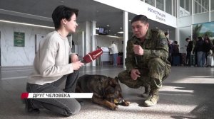 Собака - лучший сыщик и друг человека