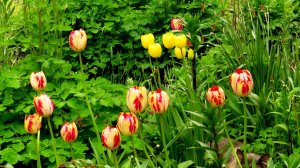 Деловая поездка