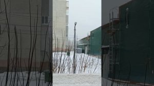 Моя зима 25-26