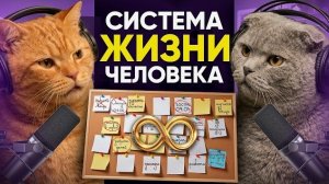 Подкаст Котов | Расписание жизни человека
