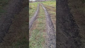 Незнание Божественной истины ведёт нас к блужданиям ума