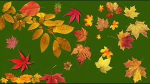 Фон осени 1_encoded