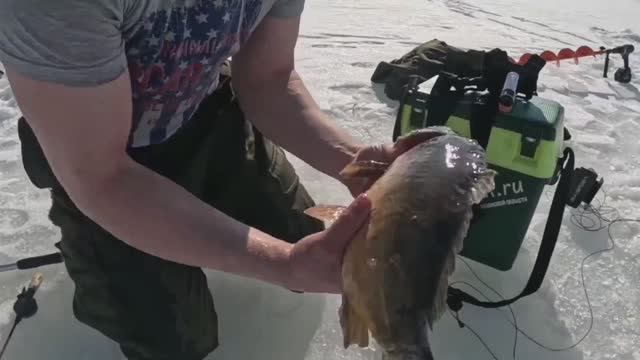 РЫБАЛКА НА КАРПА В МАРТЕ 2026!!ЛОВЛЯ КАРПА НА МОРМЫШКУ!!карп мормышка поклёвка