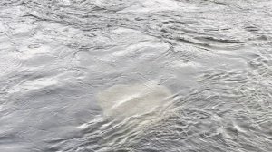 Найон поход 2024г КАМЕННАЯ КНИГА