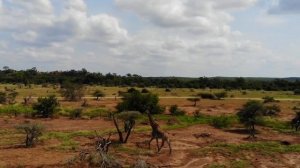 видео 2 мин 59 сек новое