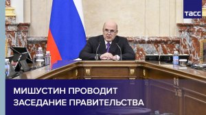 Мишустин проводит заседание правительства