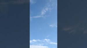 голуби Руслана. Рязань