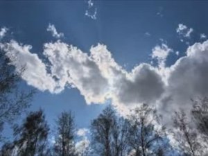 31 марта - Кирилл — Дери полоз. Традиции и приметы