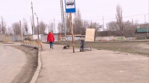 Мэрия Саратова встала на сторону перевозчиков в споре с жителями