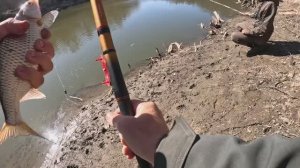 ЭТОТ КОРЯЖНИК ЗАБИТ РЫБОЙ. КЛЁВ ТОЛЬКО КИДАЙ. Рыбалка на поплавок и донку в 2025