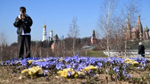 Аномальное потепление: апрель в Москве будет похож на май, а Сибирь и Урал побьют рекорды