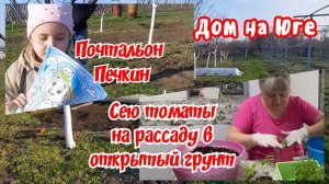 Дом на Юге. Сею томаты в открытый грунт на рассаду.