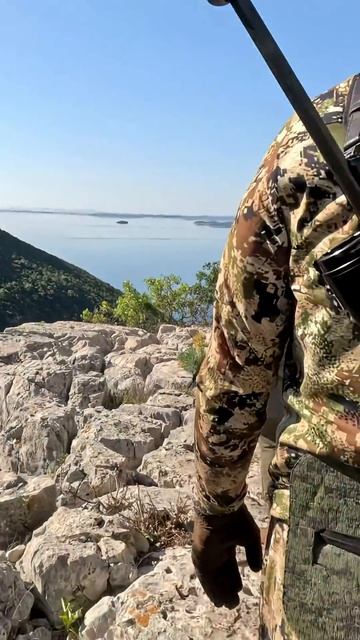 🍿 Неуловимый муфлон‼️ Это самый умный вид баранов #муфлон #хорватия #горнаяохота #охота #кино