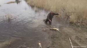 бешеный язь и сазан на каждом забросе.рыбалка в сибири