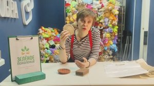 Экология на кухне. Губки для мытья посуды.