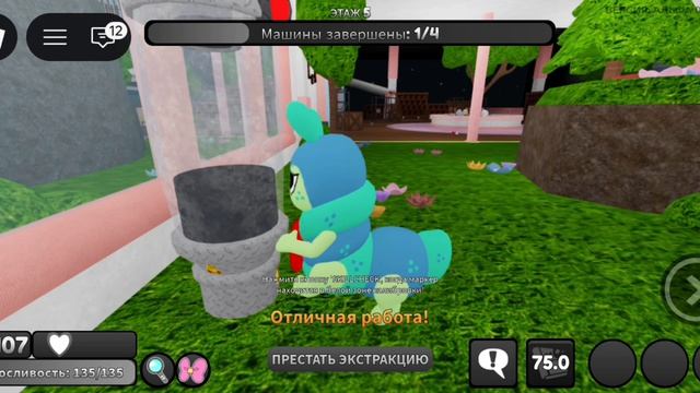 Я купила сквирма мир дэнди