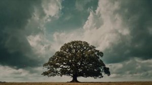 ЖИЗНЬ ОДНА. ШАНСОН.