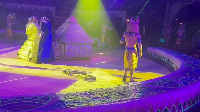 Опасные рептилии на арене цирка!