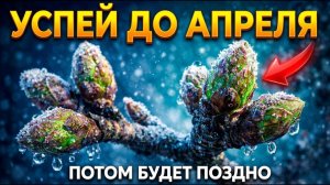 Не успеешь обработать сад в марте — летом будешь бороться с болезнями и страдать от плохого урожая