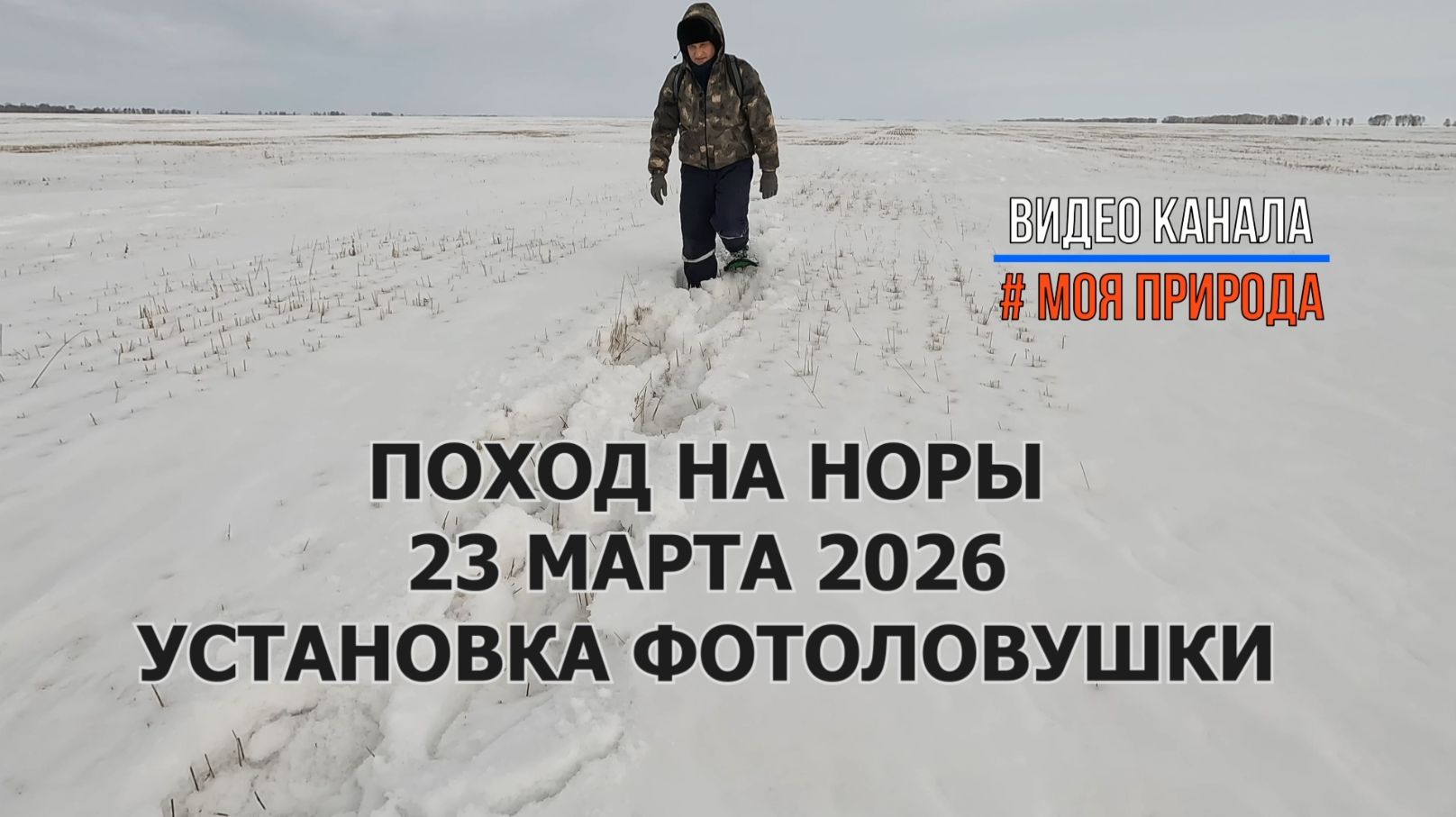 Поход на норы. Установка фотоловушки 23 марта 2026
