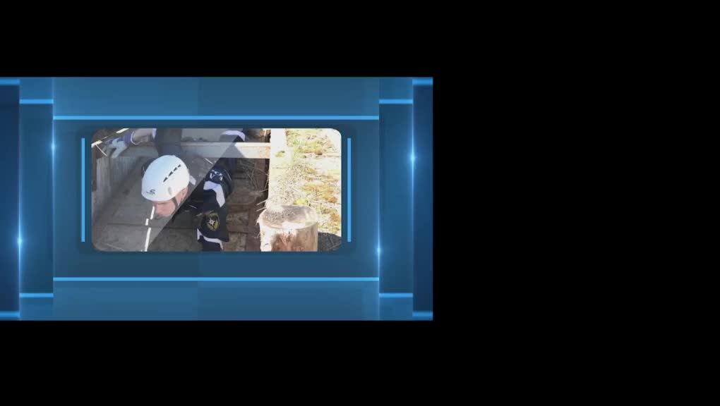 КСИОН Пермского края