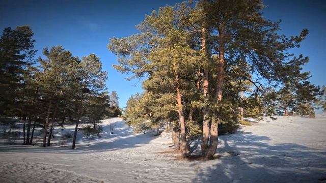 Автопрогулка загород. Провожаем зиму заранее.