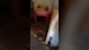 в домик и офигели как тут круто