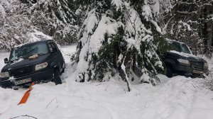 РАЗВОД в сервисе на ТО-2