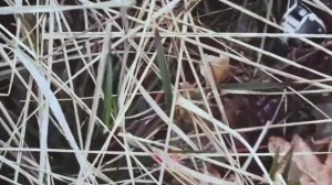 11 тонн «вразумительных аргументов» для врага