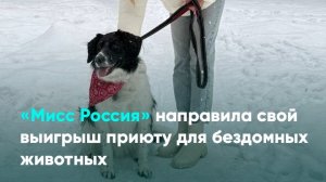 «Мисс Россия» направила свой выигрыш приюту для бездомных животных