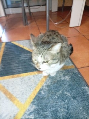 доказываю другу что я могу стримить