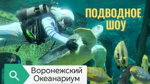 ПОДВОДНОЕ ШОУ. Воронежский океанариум
