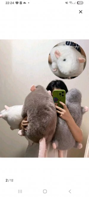 Я прведу 24 часа на диване