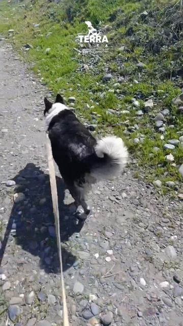 воскресная прогулка