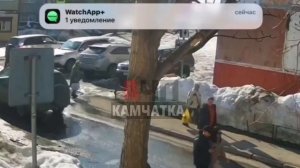 Следком на Камчатке заинтересовался информацией о нападении на подростка