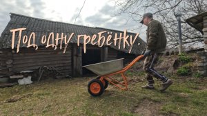 ПОД ОДНУ ГРЕБЁНКУ.