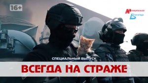 10 лет Росгвардии: в Волгограде отметили юбилей Федеральной службы войск национальной гвардии РФ