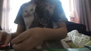 распаковка игрушек для детей