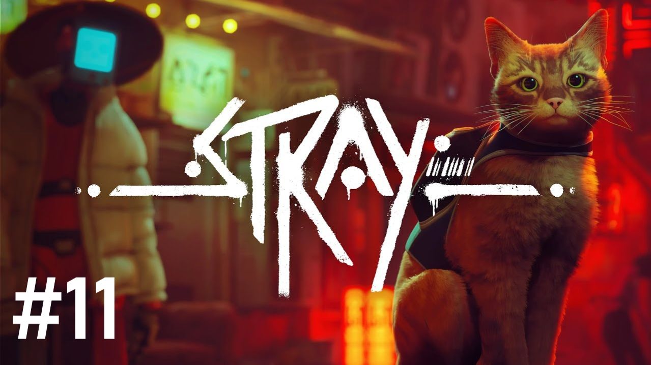 #Stray 11. Побег из Аль-кот-раса!