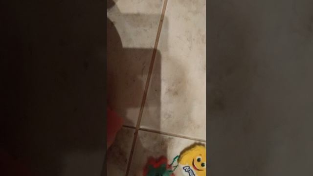 МОНСТРИКСЫ часть 1