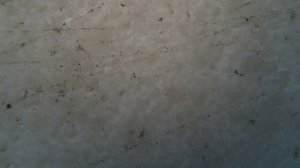 О суспензии, которая ЗАТОЧИТ ВСЁ - при умелом использовании