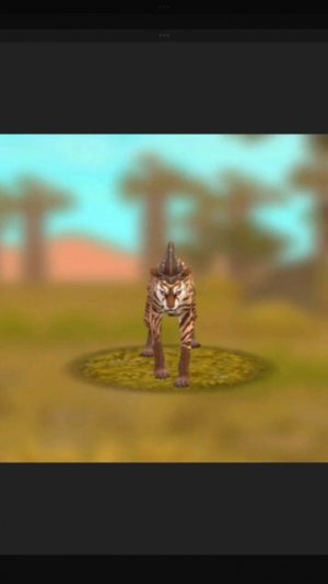 видео со мной пажочком и вайлдкрафтершой Миллисой.