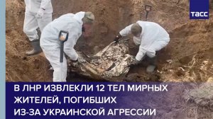 В ЛНР извлекли 12 тел мирных жителей, погибших из-за украинской агрессии